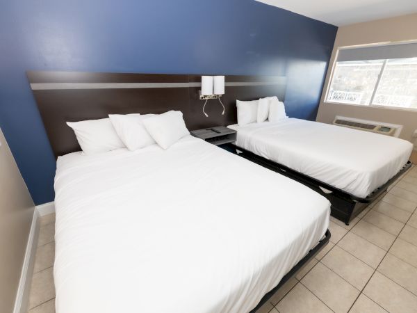 Two neatly made beds with white linens and pillows are in a room with a blue accent wall and window.
